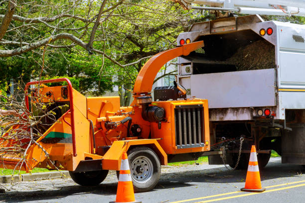 Sterling Heights, MI  Tree Services Company